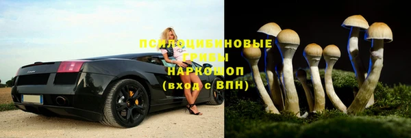 стаф Лабытнанги