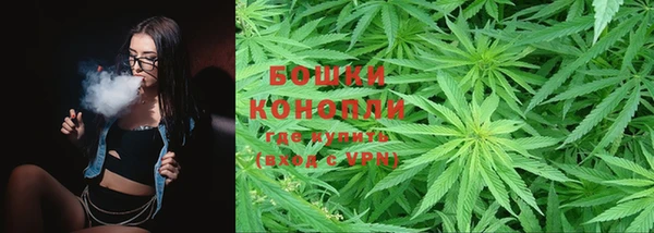 твердый Ладушкин