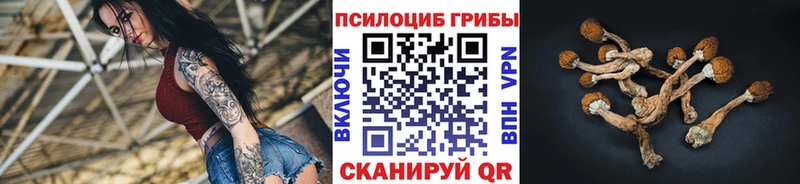 Псилоцибиновые грибы мицелий  Куровское 